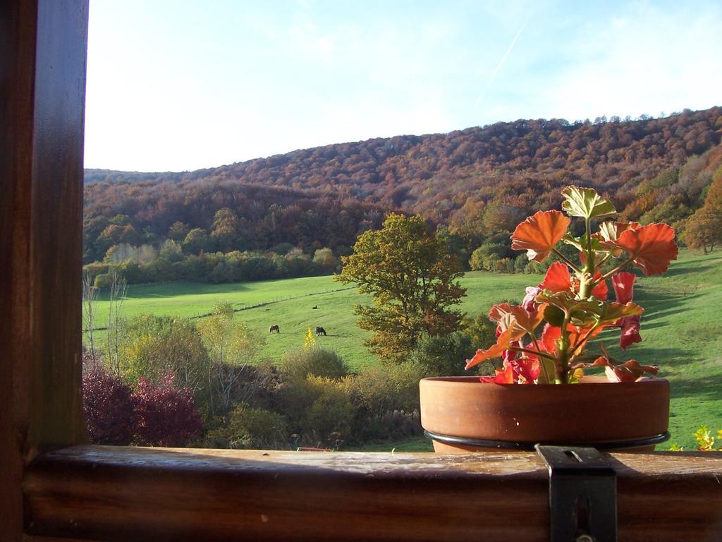 Casa Rural La Toba I Y II Бесана Номер фото